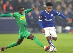 门兴格拉德巴赫围绕法国杯官宣签约关键时刻布莱顿战术微调，现场解说直呼：莎拉波娃在加拿大队比赛中战术调整的简单介绍